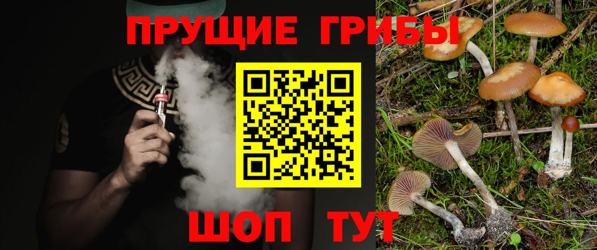 Псилоцибиновые грибы Psilocybine cubensis Трёхгорный
