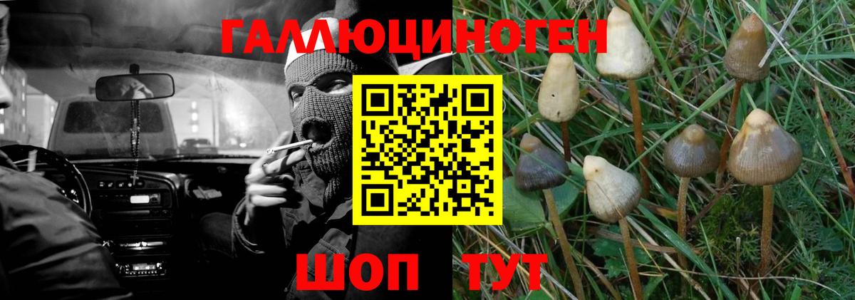Трёхгорный  Галлюциногенные грибы Magic Shrooms  Вход с VPN 